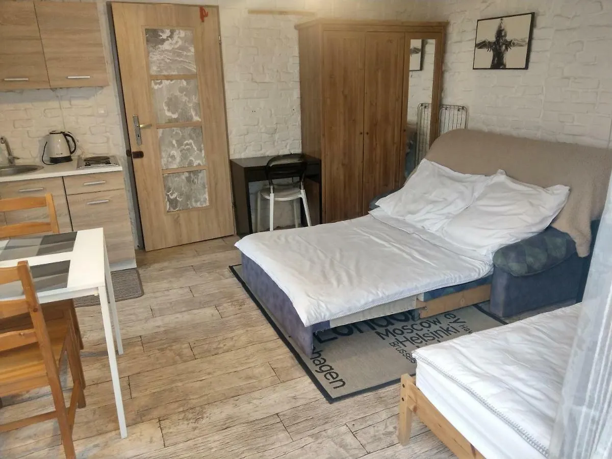 Fajne stylowe studio z aneksem kuchennym Apartament Poznań